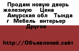Продам новую дверь железную  › Цена ­ 10 000 - Амурская обл., Тында г. Мебель, интерьер » Другое   